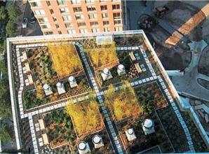 Зелёные крыши – долгосрочный вклад в экологию города