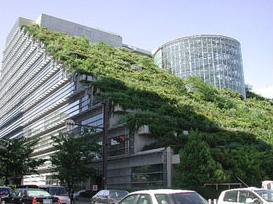 Зелёные крыши – долгосрочный вклад в экологию города