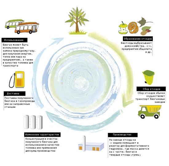 Biogaz: facem bani din deşeuri de producţie 