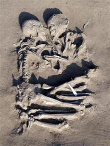 В Италии археологи обнаружили два древних обнимающихся скелета