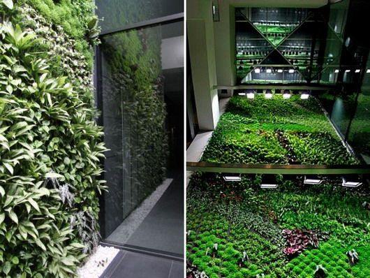 Grădina vertical din Spania curăţă aerul în birouri 