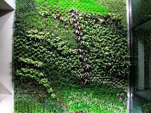 Grădina vertical din Spania curăţă aerul în birouri 
