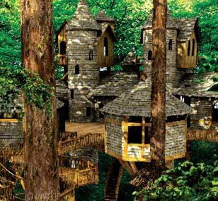 Необычные дома на деревьях