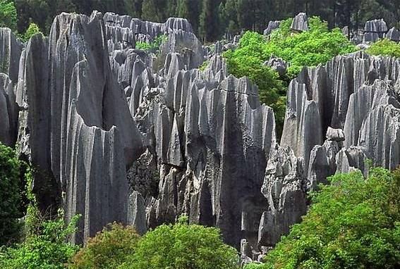 Pădure din piatră în Shilin-Lunane