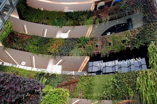 Вертикальные сады Патрика Бланка
