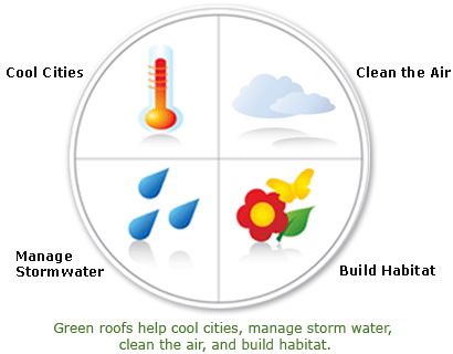Основные функции зеленых крыш в городе