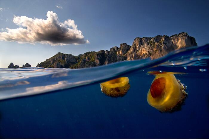 Взгляд из-под моря Alessandro Catuogno 
