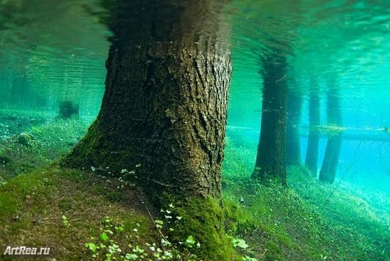Зеленое озеро в Австрийских Альпах
