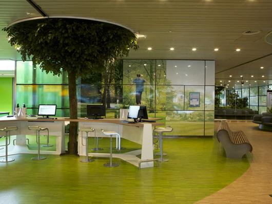Парк в аэропорту Амстердама: зеленая реальность и виртуальность