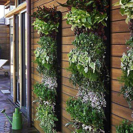 Grădinile verticale: Idei pentru oraşe, interioare şi balcoane