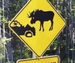 Осторожно, на дороге животные!
