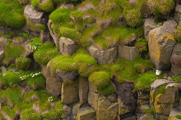 Frumuseţea sălbatică a Insulelor Hebride 