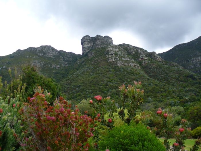 Grădina Botanică Natională Kirstenbosch (+Foto)