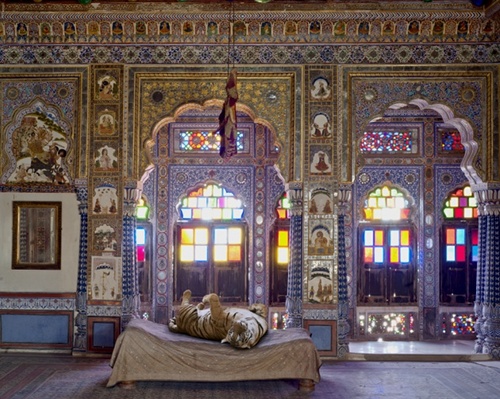 India Song: decoraţiuni interioare cu animale (Foto)