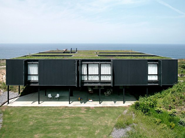 Un acoperiş verde