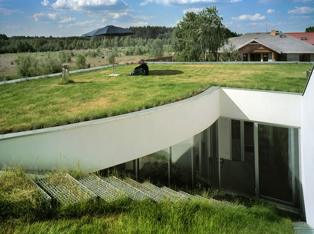 Un acoperiş verde