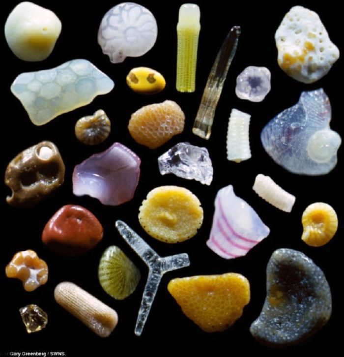 Микрофотография: Песок. Россыпи драгоценностей под ногами (+Видео)