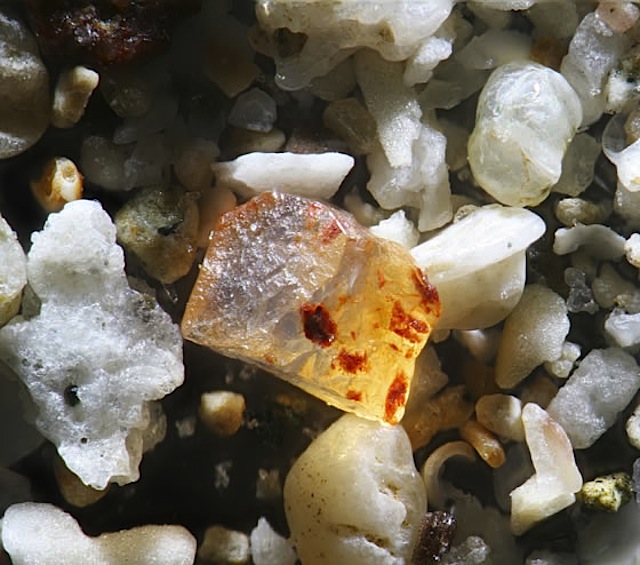 Microfotografie: Nisipul. Bijuterii împrăştiate sub picioare