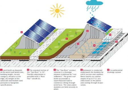 Озеленение крыш спасёт солнечные панели от перегрева