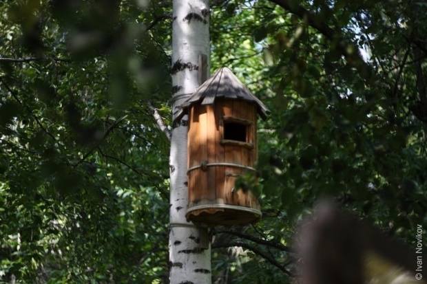 Căsuţe pentru păsări în Rusia