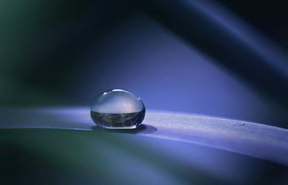 Макросъемка капель воды от Joakim Kramer (Фото)