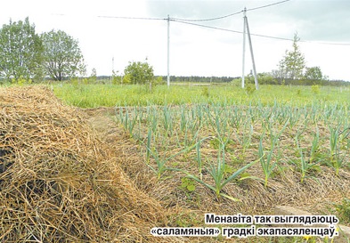 Росы – первое экологическое поселение в Беларуси