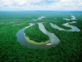 Грибы лесов Амазонки помогают создавать облака и дождь
