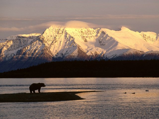 Мировая география: Аляска (Фото)