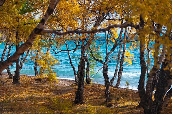 Осень на Байкале (Фото)