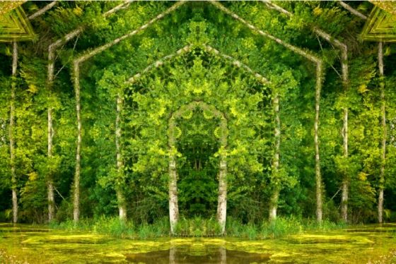 Лесные «порталы» Мэтта Уорфолда