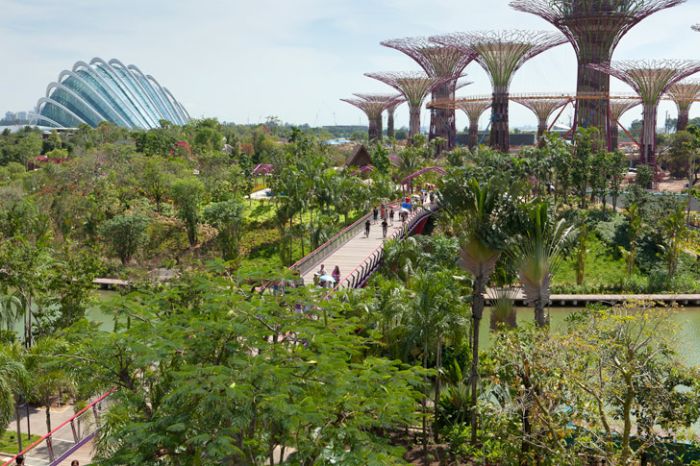 Райские сады Сингапура