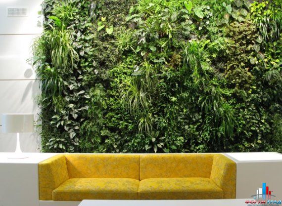 Цветы стеной — делаем из комнаты настоящий сад