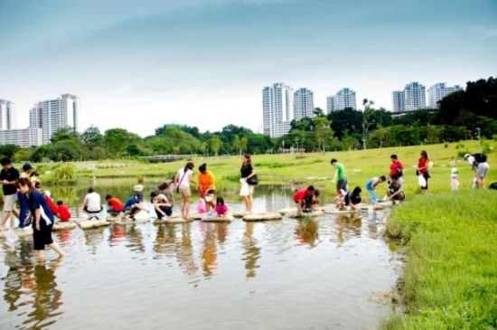 Сингапур получил награды за озеленение
