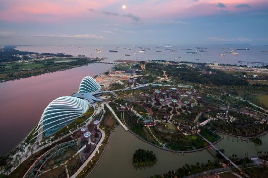 Сингапур получил награды за озеленение