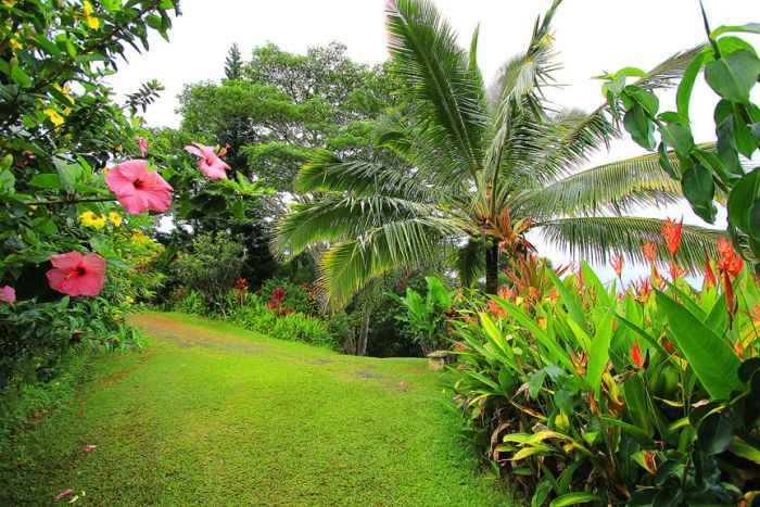 Сады острова Мауи (Фото)