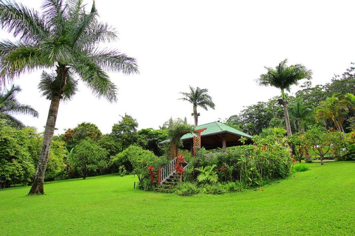 Сады острова Мауи (Фото)