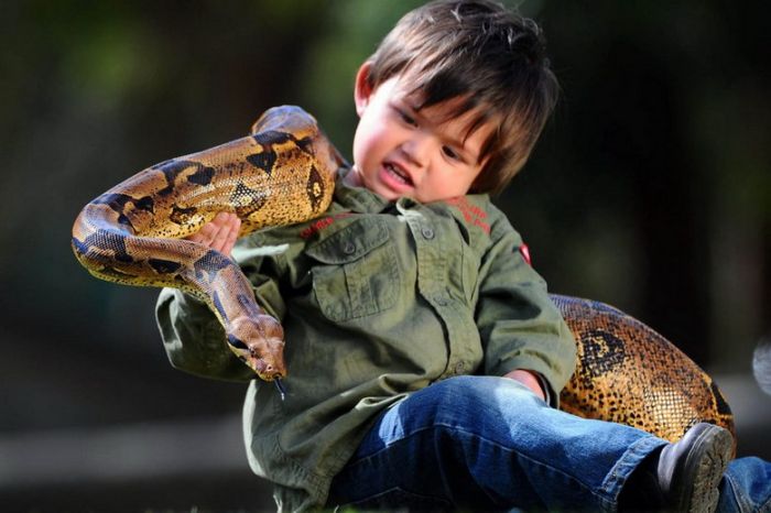 Двухлетний «укротитель рептилий» (Фото)