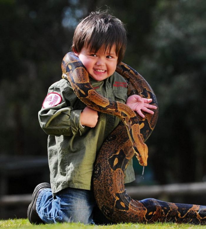 Двухлетний «укротитель рептилий» (Фото)