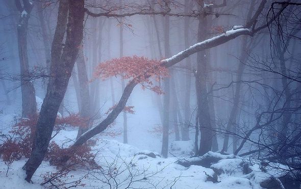 Фотографии зимнего Крыма (Фото)