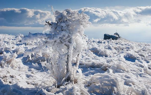 Фотографии зимнего Крыма (Фото)