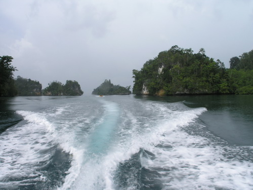 Индонезия, остров Папуа, заповедник 