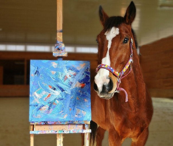 Картины, нарисованные конем 