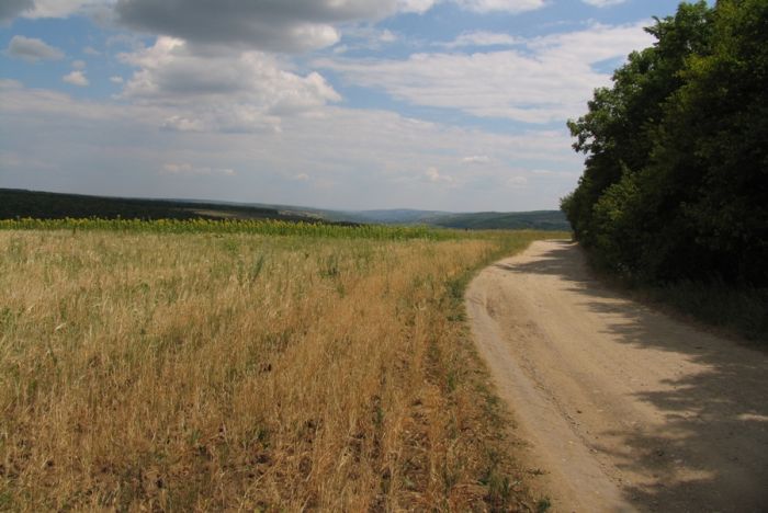 Дороги Молдовы