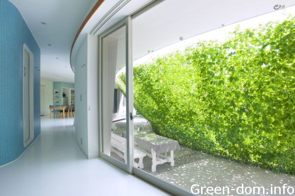 Защитный зеленый экран японских архитекторов