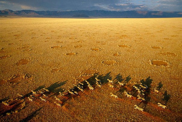 10 потрясающих фото Африки с высоты птичьего полета от фотографа Джорджа Стейнмеца!