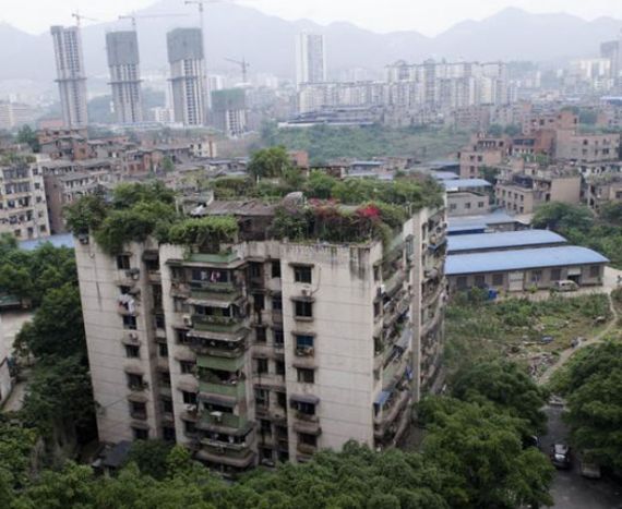 Удивительные зеленые крыши Китая
