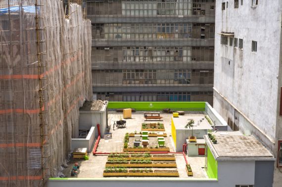 http://www.facepla.net/index.php/the-news/1-latest-news/3143-farms-on-rooftops