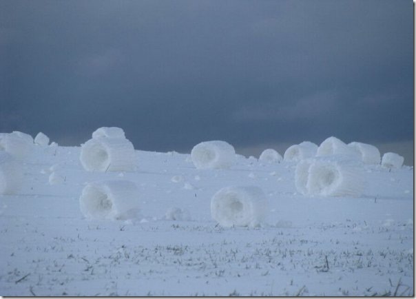 Ветряные проделки: снежные рулоны – зимний природный феномен