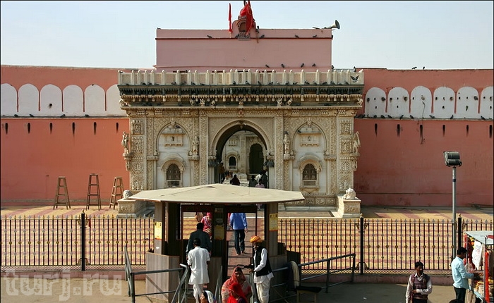 Индия, Дешнок: Храм Карни Мата или Храм Крыс - полный пансион для хвостатых