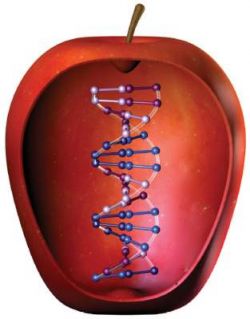 Генетически модифицированные яблоки взорвут рынок?